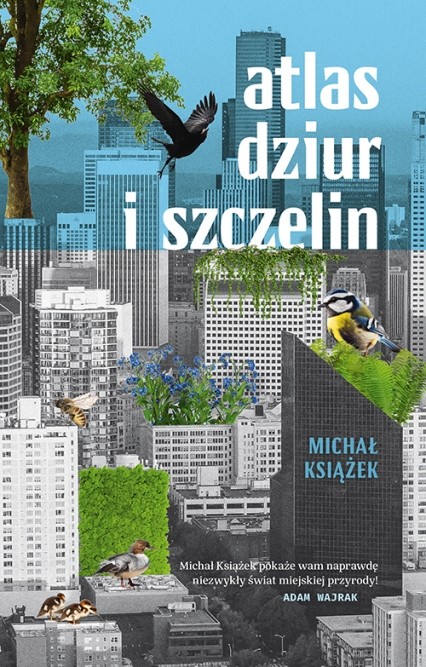 Michał Książek - Atlas dziur i szczelin 