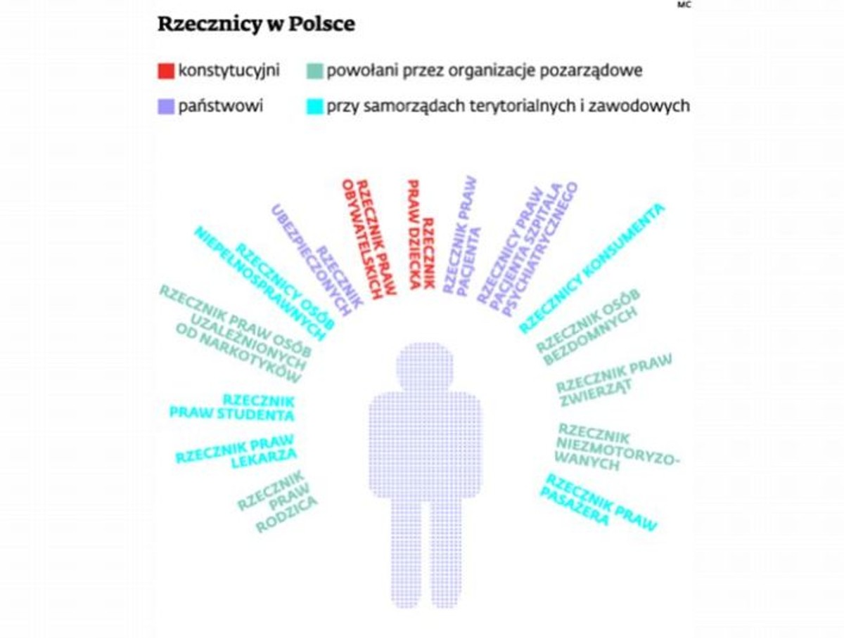 Rzecznicy w Polsce