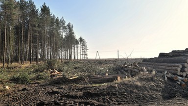 Sprawa przekopu Mierzei Wiślanej. KE szykuje pozew do TSUE