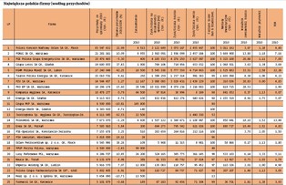 Największe polskie spółki notowane na GPW - ranking