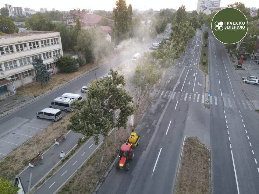 Održavanje plantana