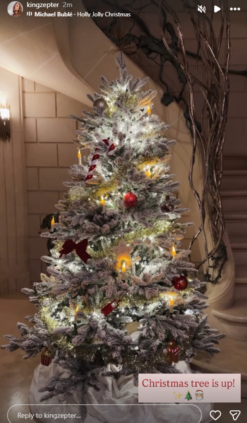 Ema Cepter pokazala jelku