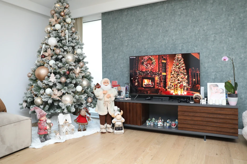 U domu Vladana Savića