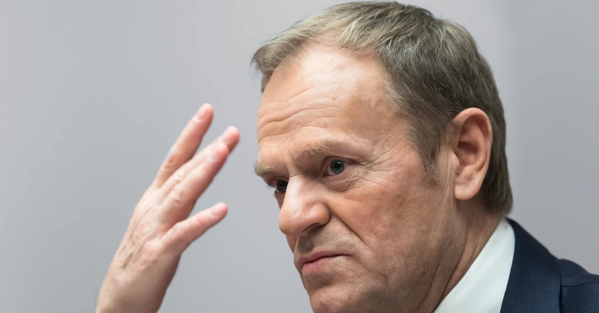 Premier Donald Tusk wstrzymuje reformę PIP. Chodziło o umowy śmieciowe, skończyło się na obawach firm