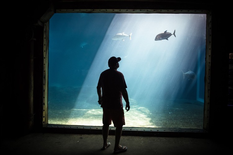 Zdjęcie pojedyncze - III miejsce w kategorii ŚRODOWISKO