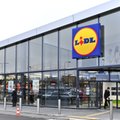 Lidl szuka studentów i absolwentów na staż. Oto co im oferuje