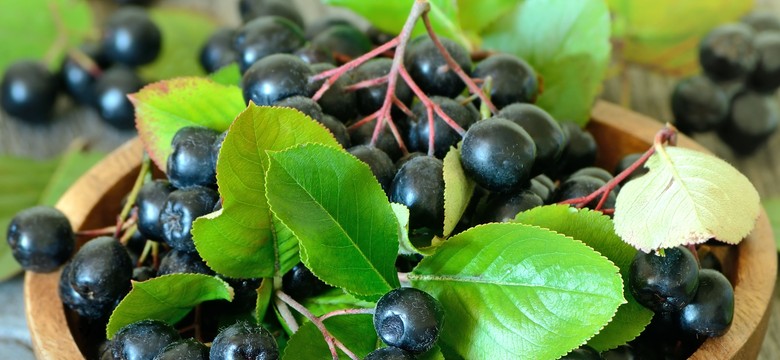 Obniża poziom cholesterolu: ARONIA. Zalety owoców aronii