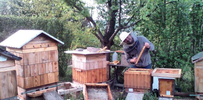 Wytruli mu 2,5 mln pszczół, a on im życzy... szczęścia!