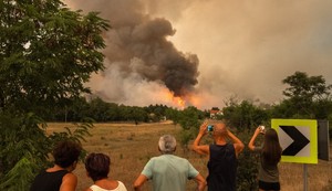 Požar Deliblatska peščara