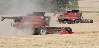 Dzieci rolników dostaną zapomogę. To nawet 3 tys. złotych