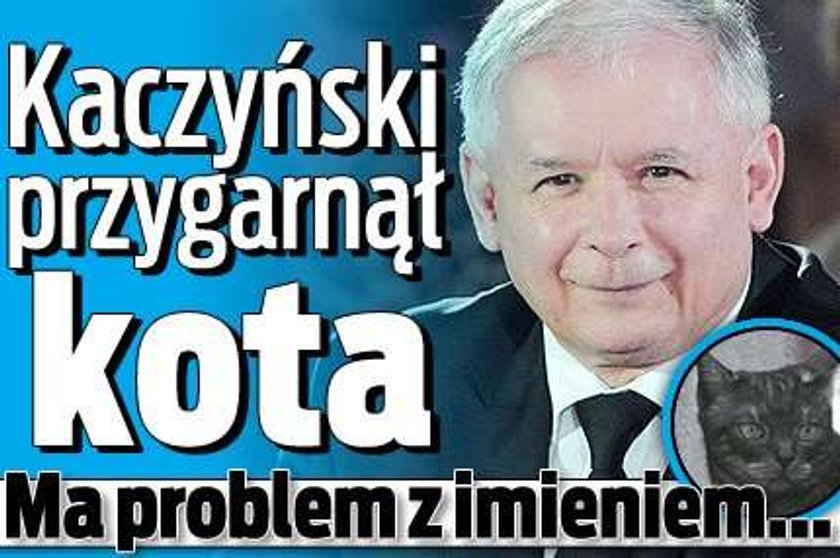 Kaczyński przygarnął kota. Ma problem z imieniem...