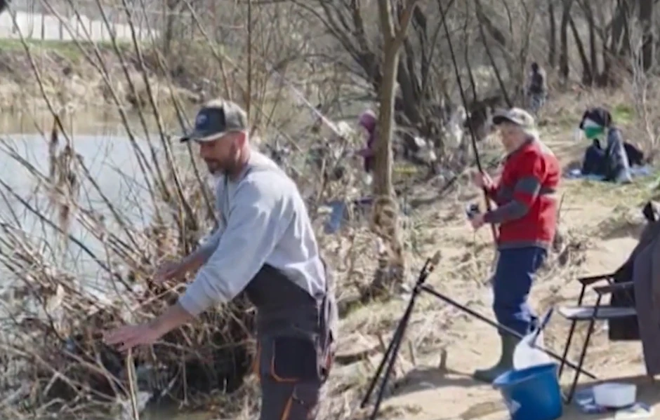 Negica peca na Moravi