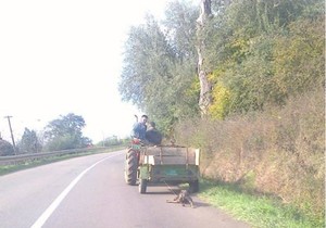 529225_traktor-foto-zivotinje-rs