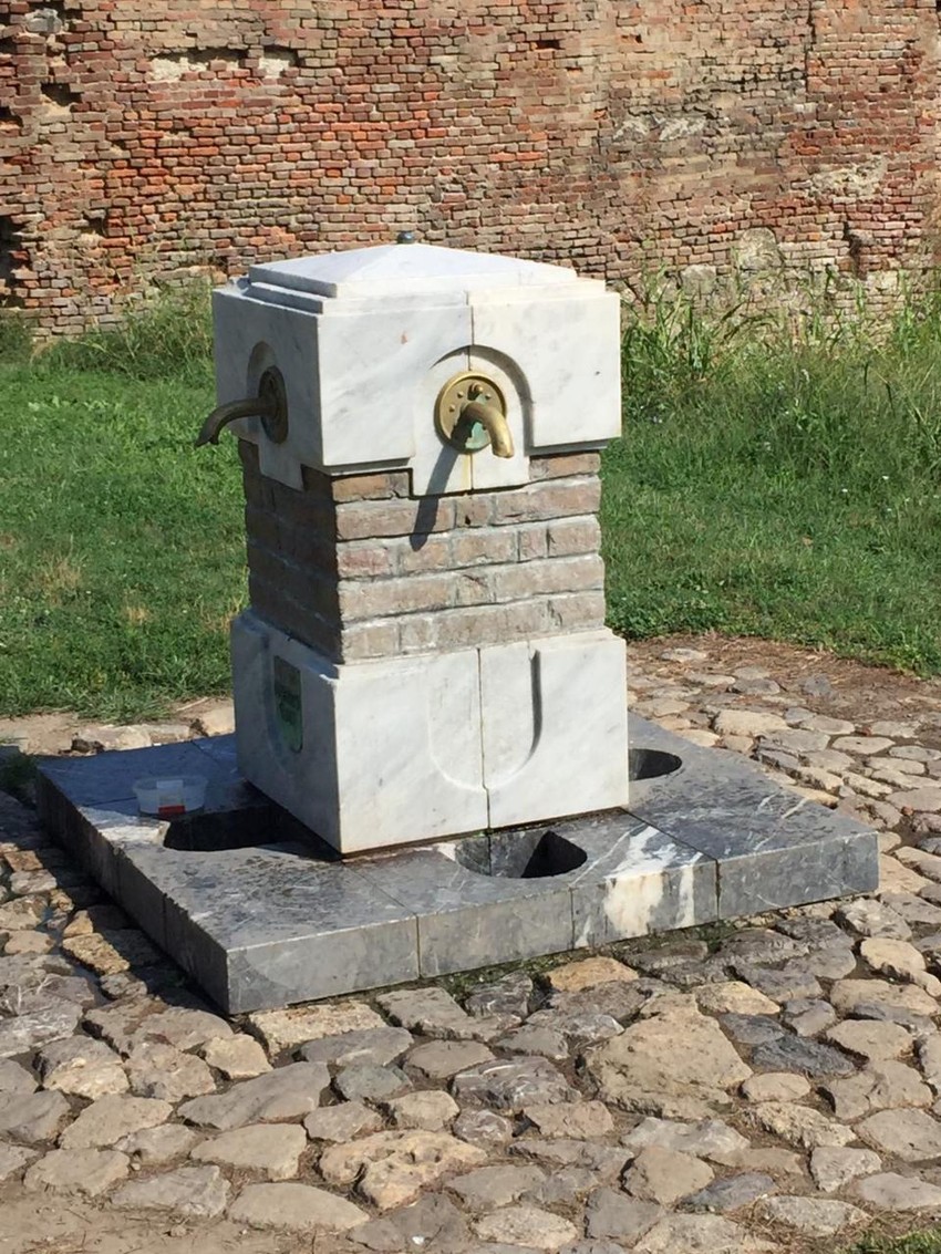 Mile Božičković, kao direktor "Zelenila", zalagao se i za bolje uslove rada u njegovom preduzeću