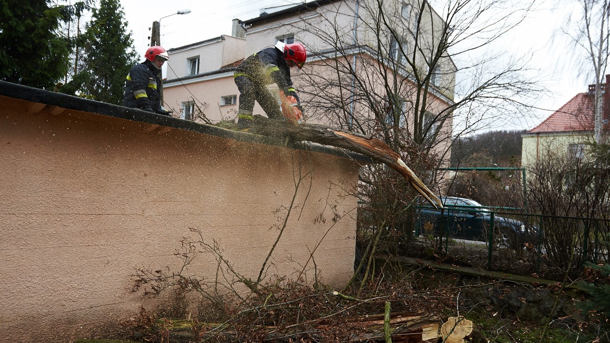 Do końca dnia będzie dziś utrzymywał się silny wiatr w wielu regionach Polski - przewiduje IMGW. Jutro wiatr nieco osłabnie, choć silnie powiać może jeszcze w woj. dolnośląskim. Na północnym wschodzie i w górach może padać śnieg.