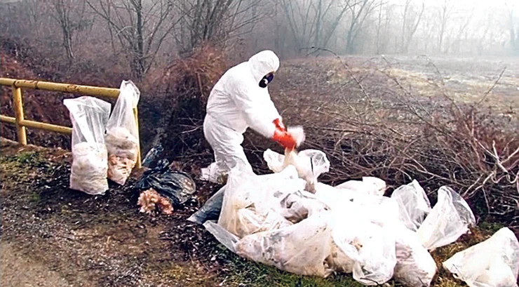 FARk9lLaHR0cDovL29jZG4uZXUvaW1hZ2VzL3B1b