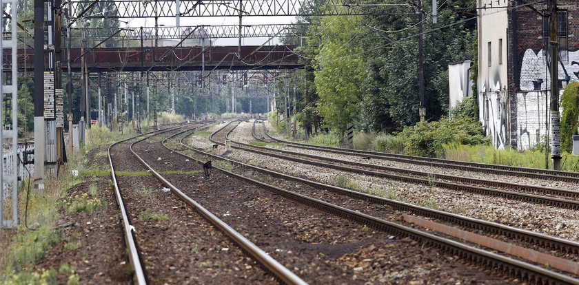 16-latki upiły się na torach, chciały się zabić?