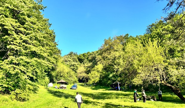 Košutnjak 