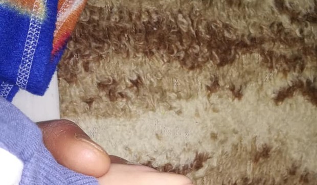 beba dlaka bojan stanisavljević