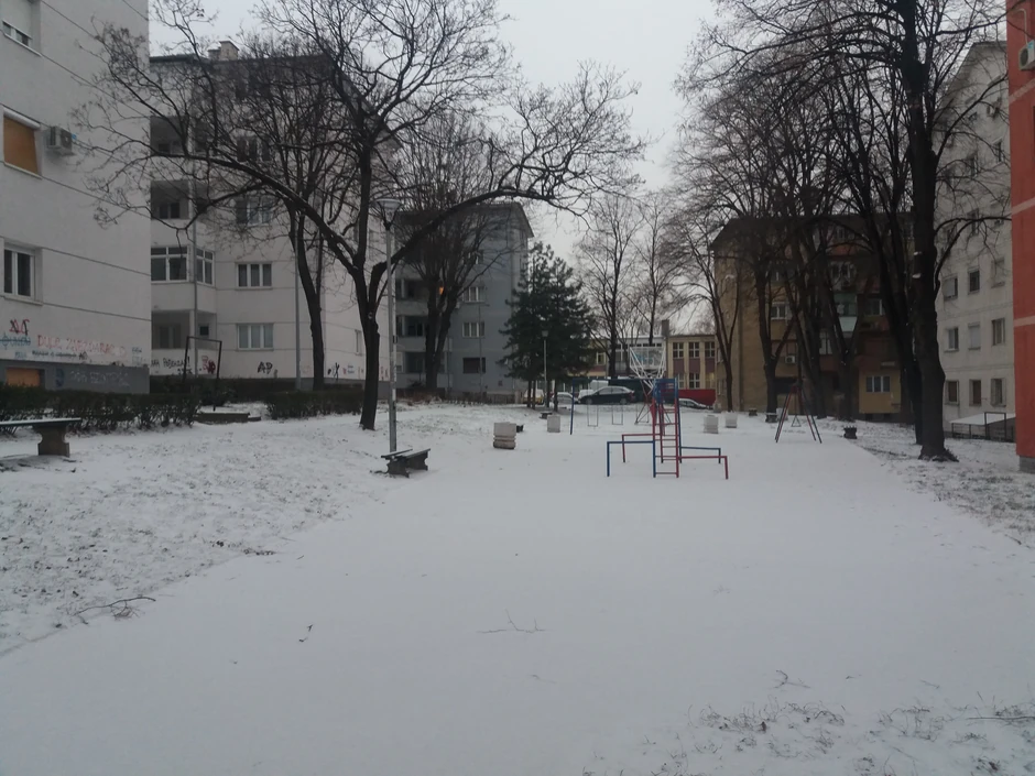 Beogradski parkovi pod snežnim pokrivačem