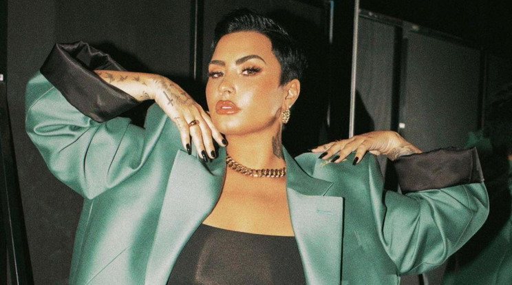 Demi Lovato jelenleg a legjobb barátjával él / Fotó: Northfoto