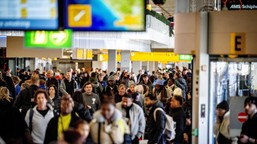 holandia w chaosie. setki odwołanych lotów i ponad 500 km korki