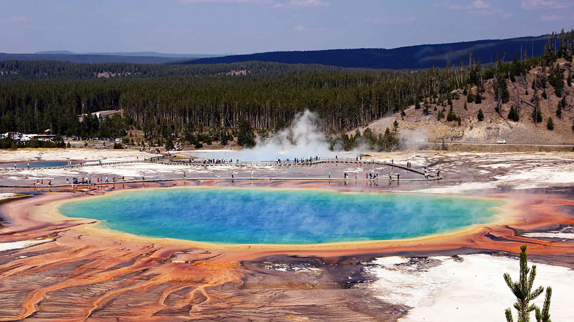 Szum fal i czkawka ryby w formacie MP3. Biblioteka nagrań z Parku Yellowstone dostępna za darmo