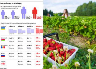Imigranci ze Wschodu ubiegają się o wizy, bo Polska jest furtką do Schengen