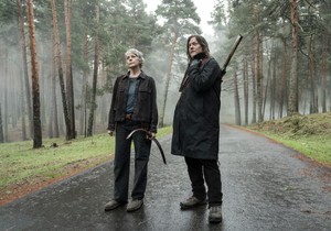 The Walking Dead Daryl Dixon