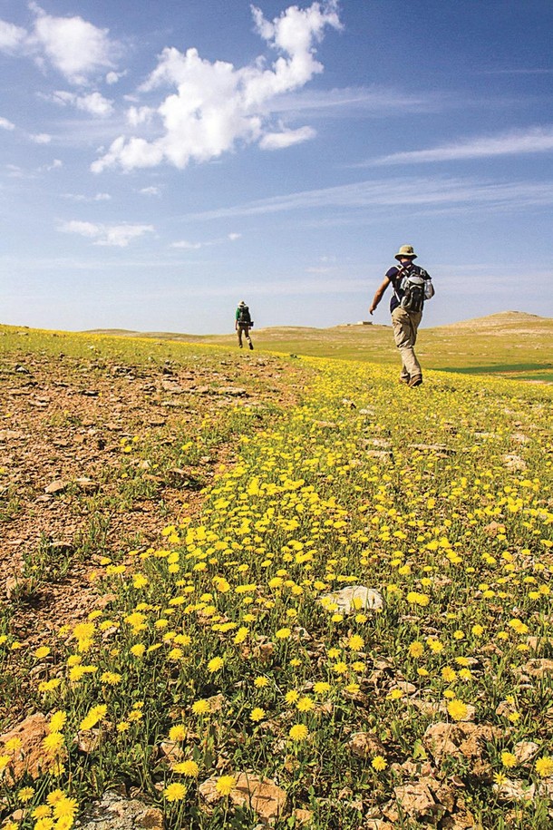 Sacred Journeys Around the World