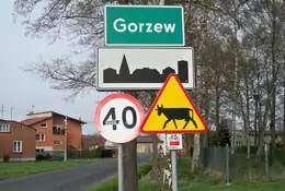 Znaki drogowe w Polsce - wyjaśniamy skąd ten chaos?