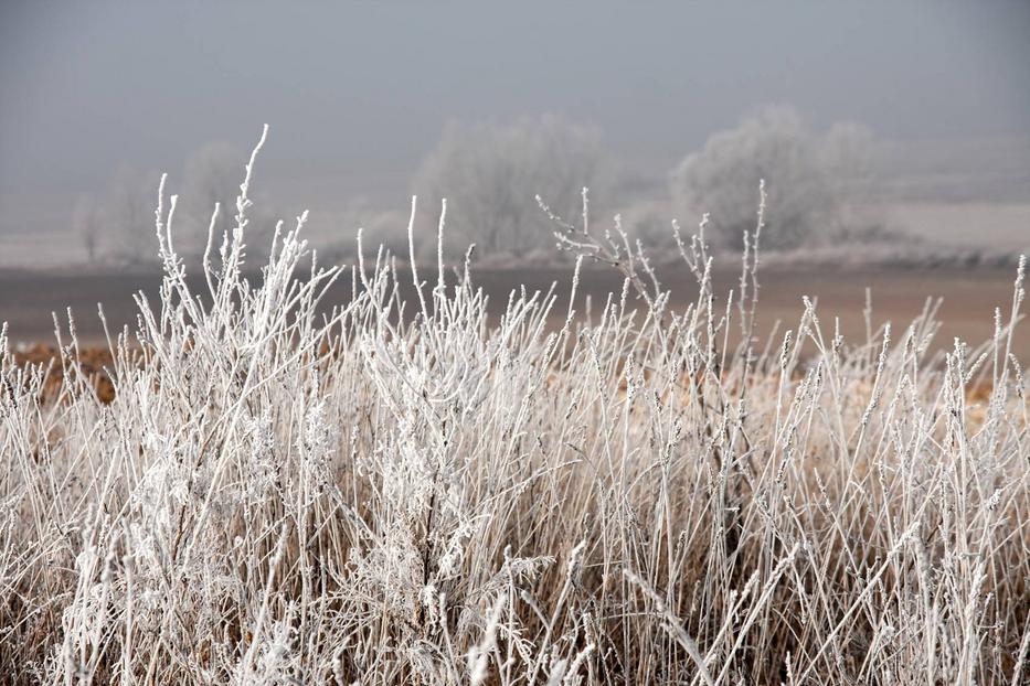 Talajmenti fagyok is lehetnek / Illusztráció: Northfoto