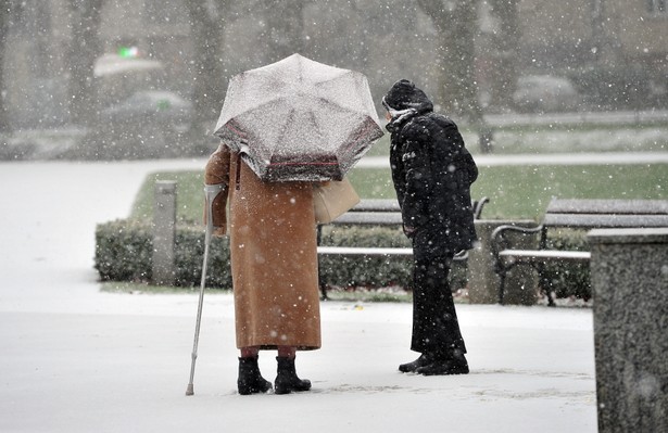 Pierwszy śnieg szybko zniknął. Meteorolodzy: Na prawdziwą zimę trzeba poczekać. PROGNOZA POGODY