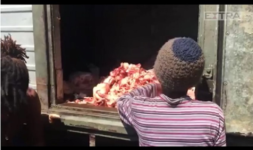 Kriza gladi u Brazilu - ljudi kopaju po životinjskim ostacima