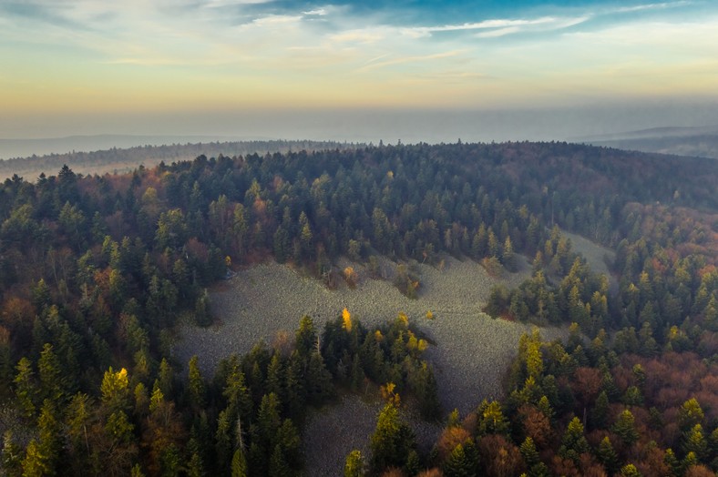 Gołoborze na Łysej Górze