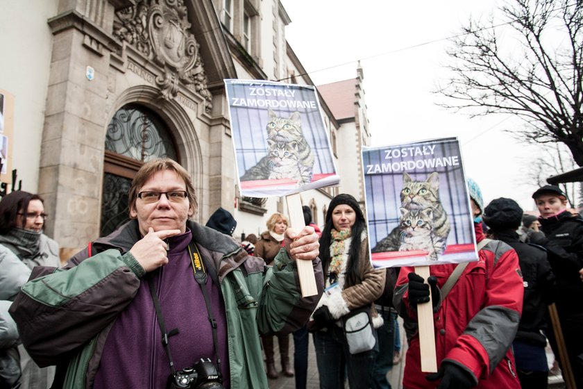 Proces studenta z Zabrza oskarżonego o zamordowanie kotów