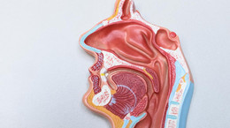 Nos - anatomia, kształt, choroby. Jak działa narząd powonienia?