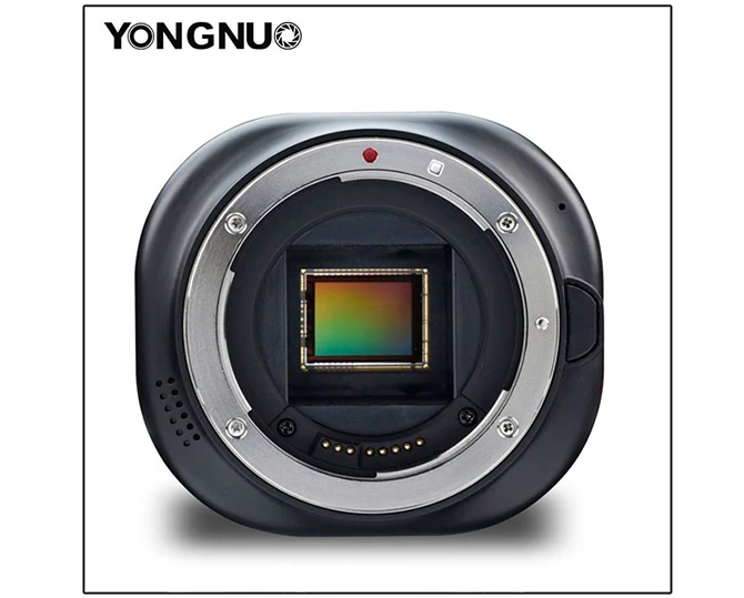 Yongnuo YN43