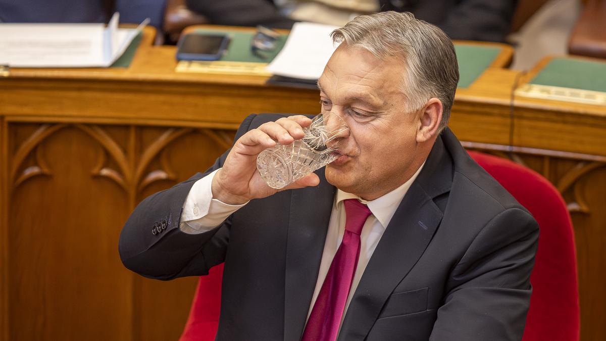 Látta már Orbán Viktort feszíteni? Itt a fotó az öltönyben flexelő miniszterelnökről