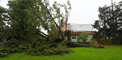 Pojechali na wakacje na Mazury. To stało się z ich domem