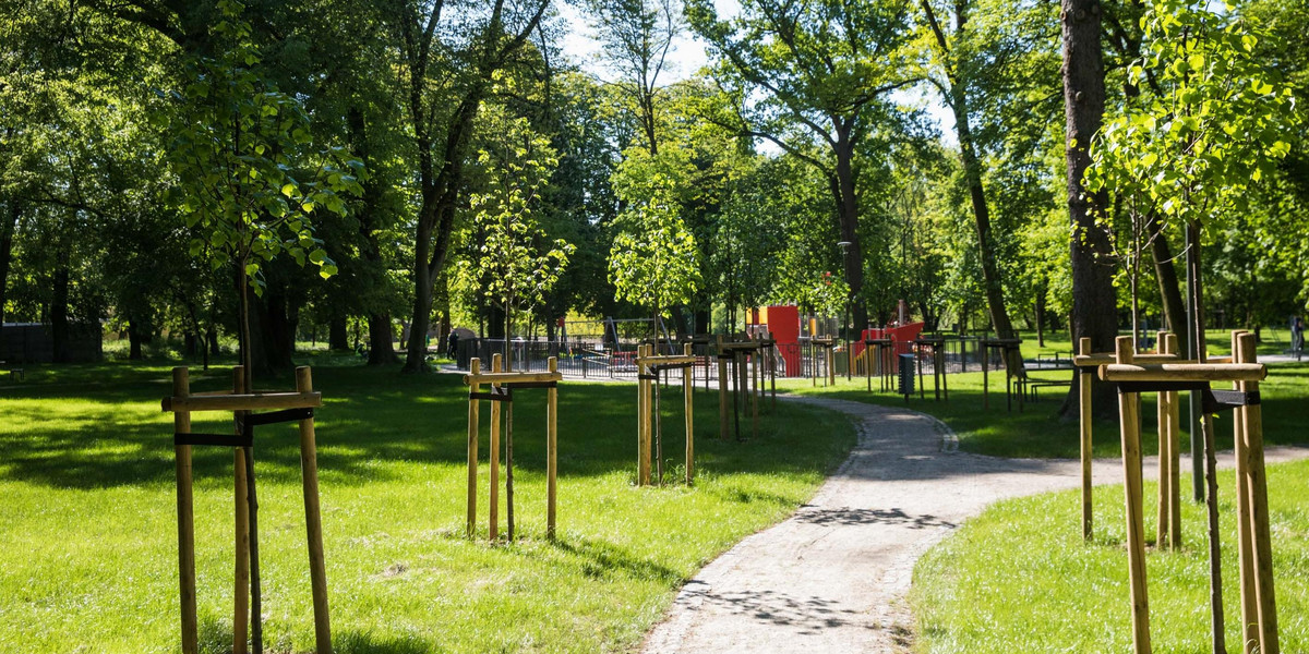 Park przy Browarnej zyskał blask