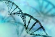 25 kwietnia obchodzimy Międzynarodowy Dzień DNA.