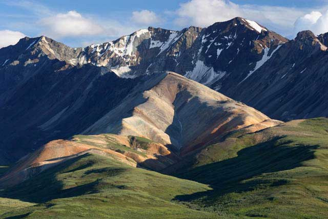 Galeria USA - Park Narodowy Denali, obrazek 7