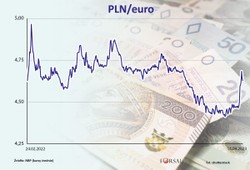 „Słaby” złoty to też wina NBP? [OPINIA]