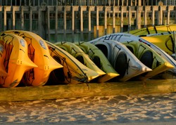 Darmowe kajaki miejskie, lokalna waluta. Przegląd największych wyborczych absurdów