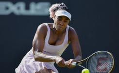 Udany start Venus Williams w turnieju WTA w Birmingham