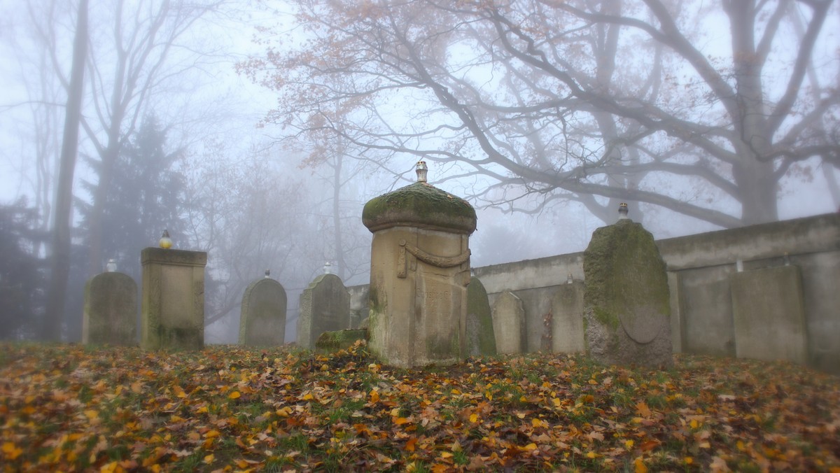 Cmentarz Centralny w Szczecinie - historia, powierzchnia, zabytki i zwiedzanie