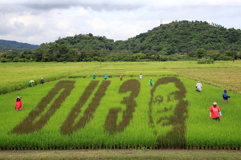 Artwork featuring the image of Philippine President Rodrigo Duterte with the letters D U and the number 3, a word play on the President's surname, "DU30", is seen on a rice paddy in Los Banos city, Laguna province, south of Manila, October 6, 2016.