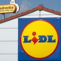 Lidl i Biedronka biją się o melomanów. Sprzedaż płyt winylowych w Polsce wystrzeliła