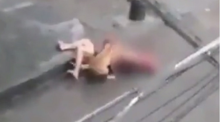 Brutálisan megtámadta a pitbull a férfit /Fotó: Youtube
